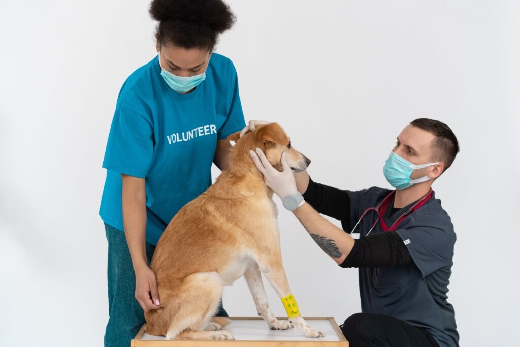 Veterinary clinic staff managing new appointment requests generated through marketing