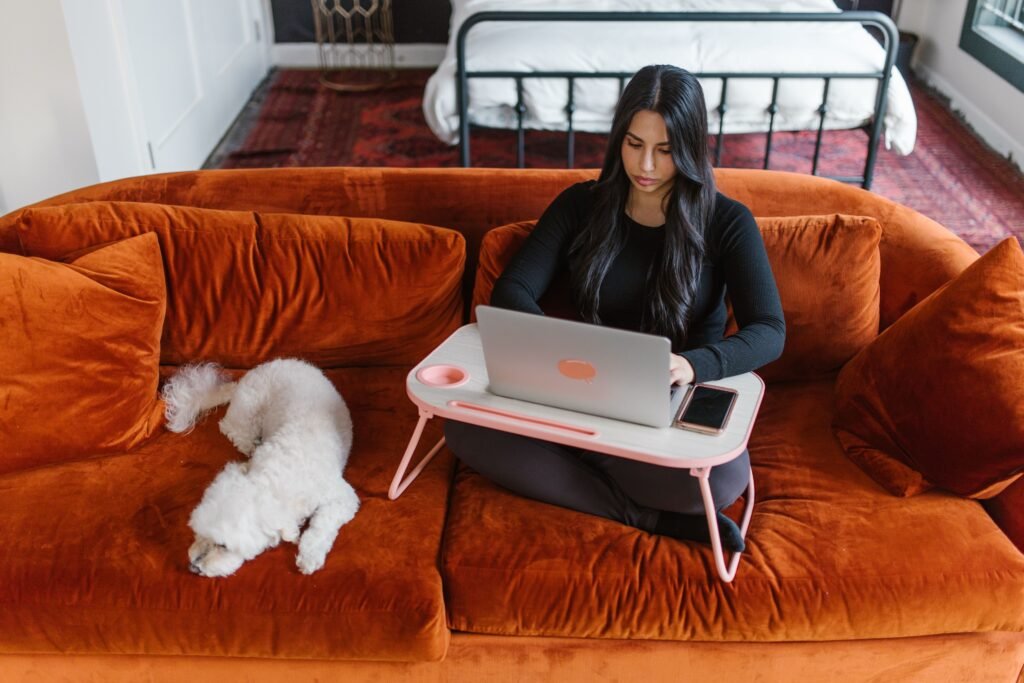 Pet services business reviewing new booking requests generated through marketing